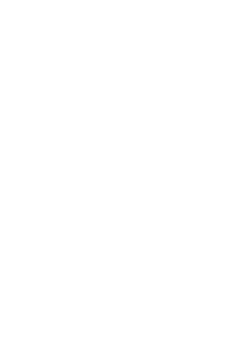 Liz Lingerie